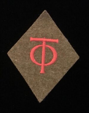 ORGANIZATION TODT ARM PATCH