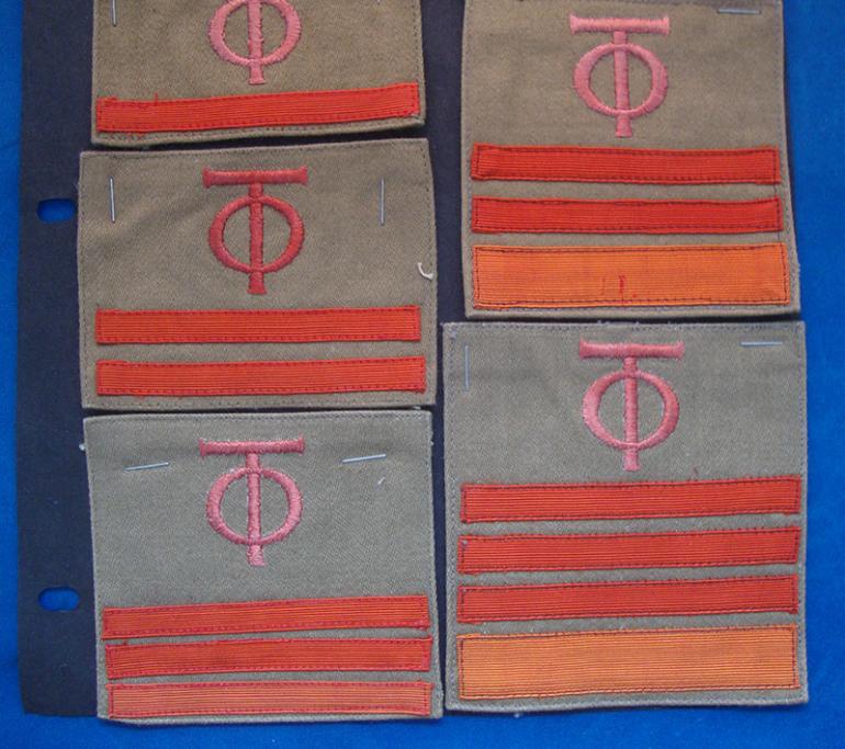 ORGANIZATION TODT RANK INSIGNIA - Image 3