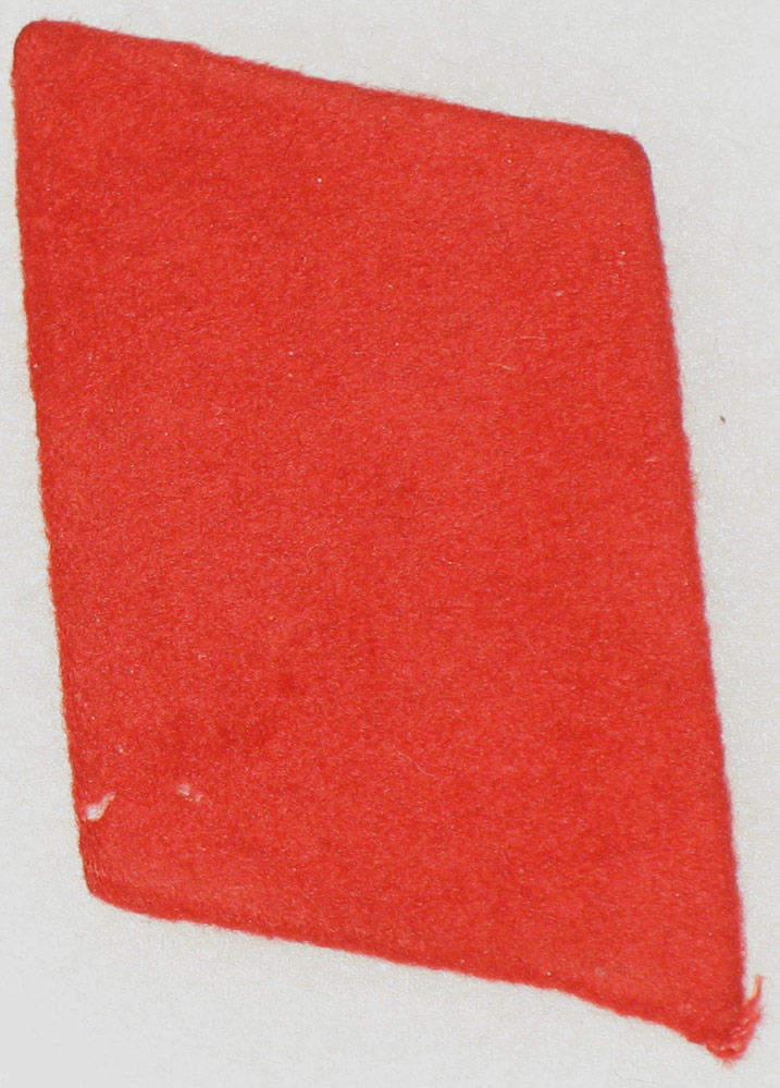 German NSDAP Collar Tab